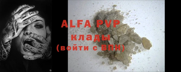 стаф Белокуриха
