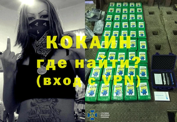 стаф Белокуриха