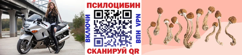 Галлюциногенные грибы ЛСД  Видное 