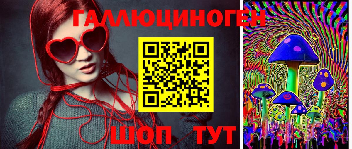 Галлюциногенные грибы GOLDEN TEACHER Видное