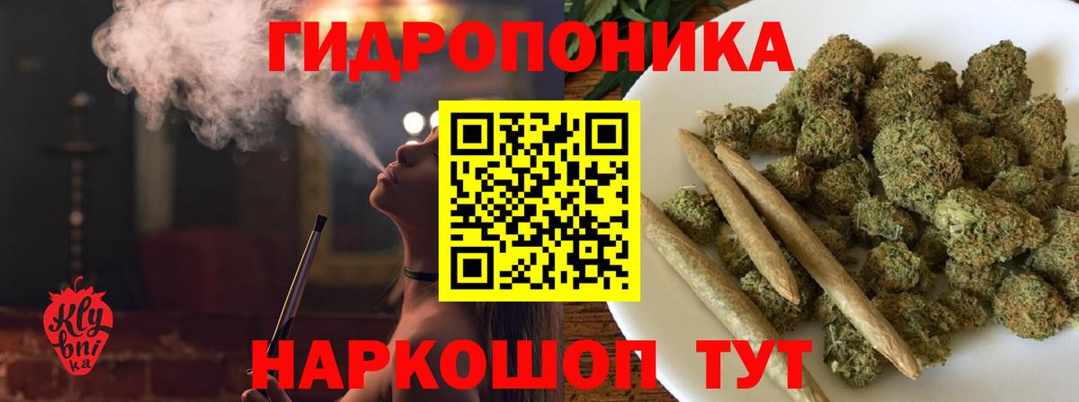 Бошки марихуана планчик Видное